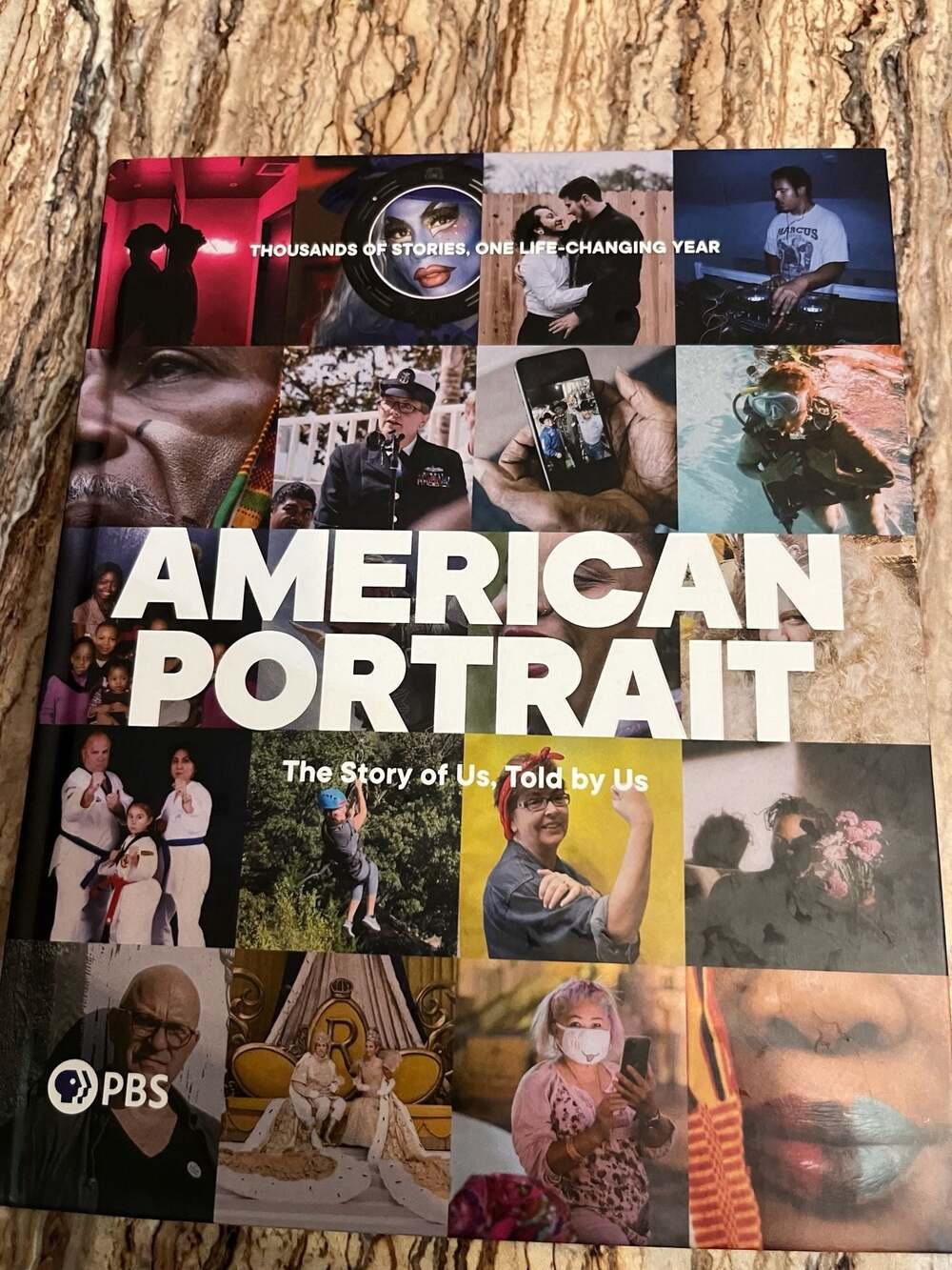 American Portrait by PBS, Paperback